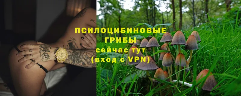 ссылка на мегу ТОР  Мышкин  Галлюциногенные грибы Magic Shrooms 